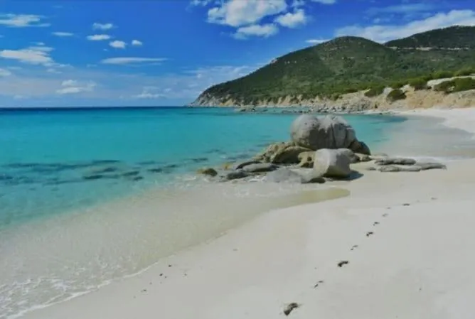 Atalaya וילסימיוס