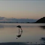 Atalaya